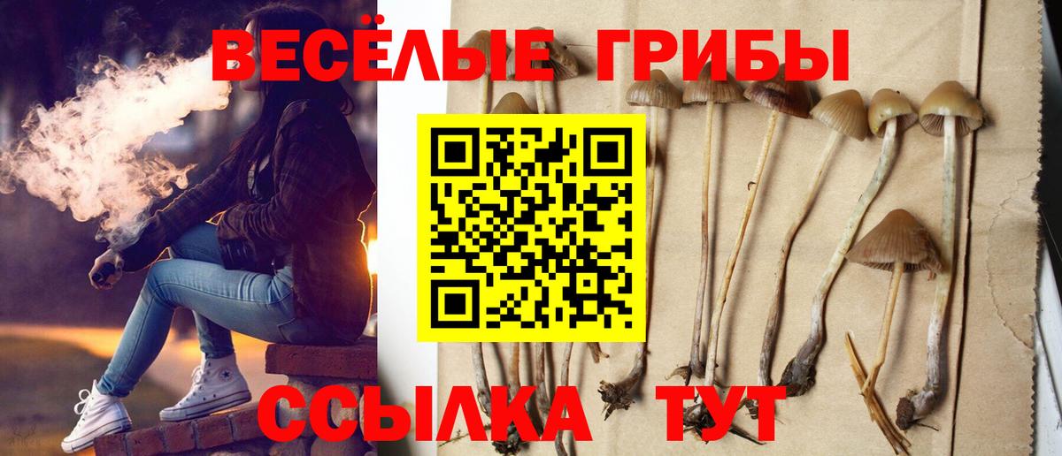 Псилоцибиновые грибы GOLDEN TEACHER Великий Устюг